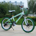 Hot Sale High Quality Mountain Bike/Bicycle MTB